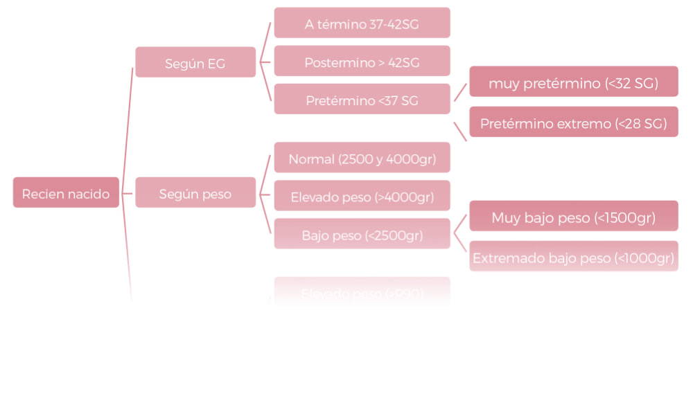 Temario OPE Matrona 2020/21