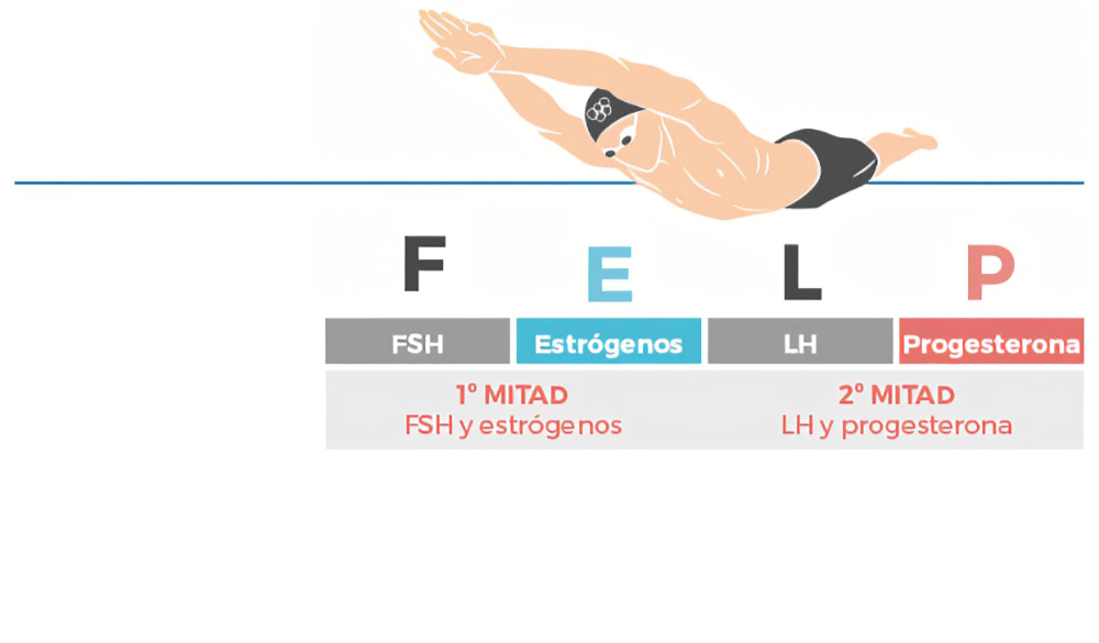 Ilustración Nemotécnica Matrona