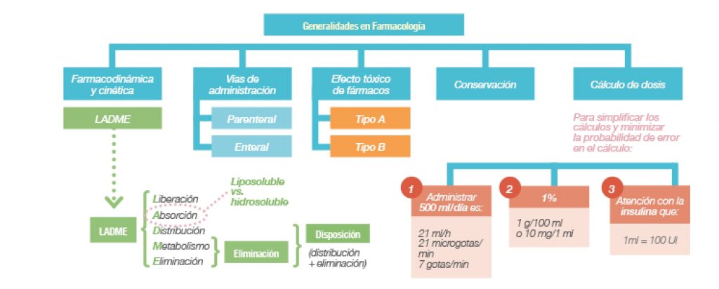 Mapa Conceptual Esquemas