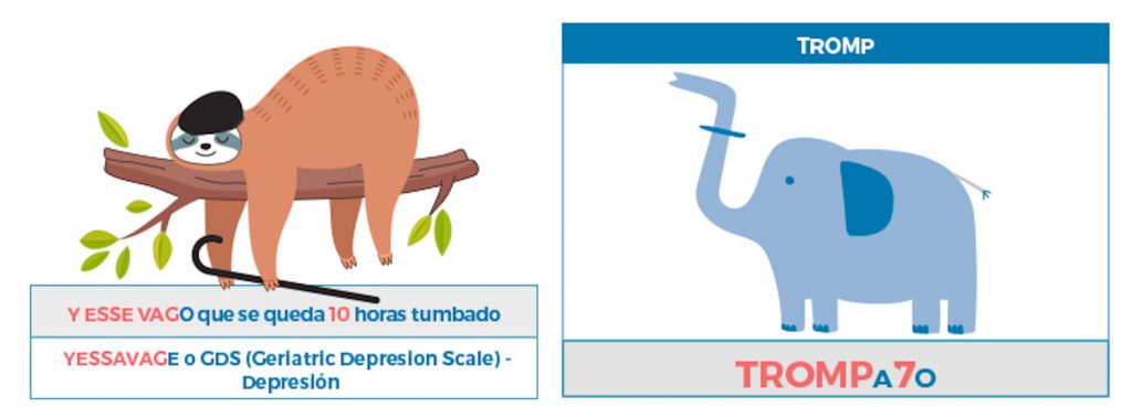 Nemotécnicas Esquemas