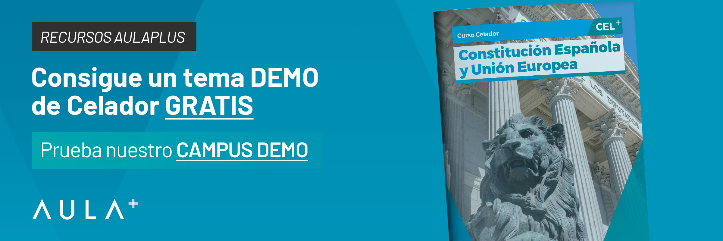 Consigue GRATIS tema demo de celador