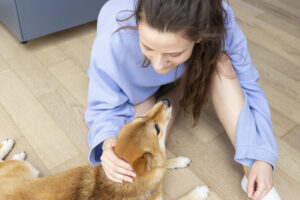 AulaPlus Formación Terapia con patas: Osakidetza da luz verde a que los perros visiten a sus dueños en el hospital