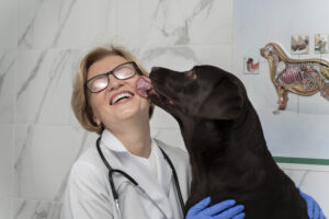 AulaPlus Formación Terapia con patas: Osakidetza da luz verde a que los perros visiten a sus dueños en el hospital