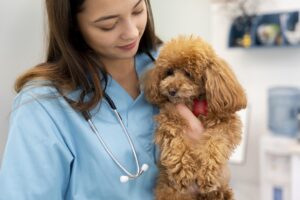 AulaPlus Formación Terapia con patas: Osakidetza da luz verde a que los perros visiten a sus dueños en el hospital